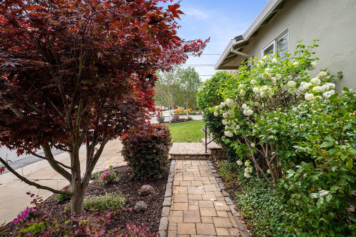 3524 Michael Drive San Mateo, CA 94403 - Photo 36 of 39 a view of a pathway with a flower garden