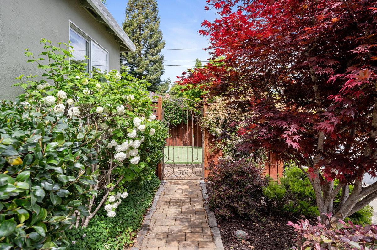 3524 Michael Drive San Mateo, CA 94403 - Photo 37 of 39 a plant that is in front of a house