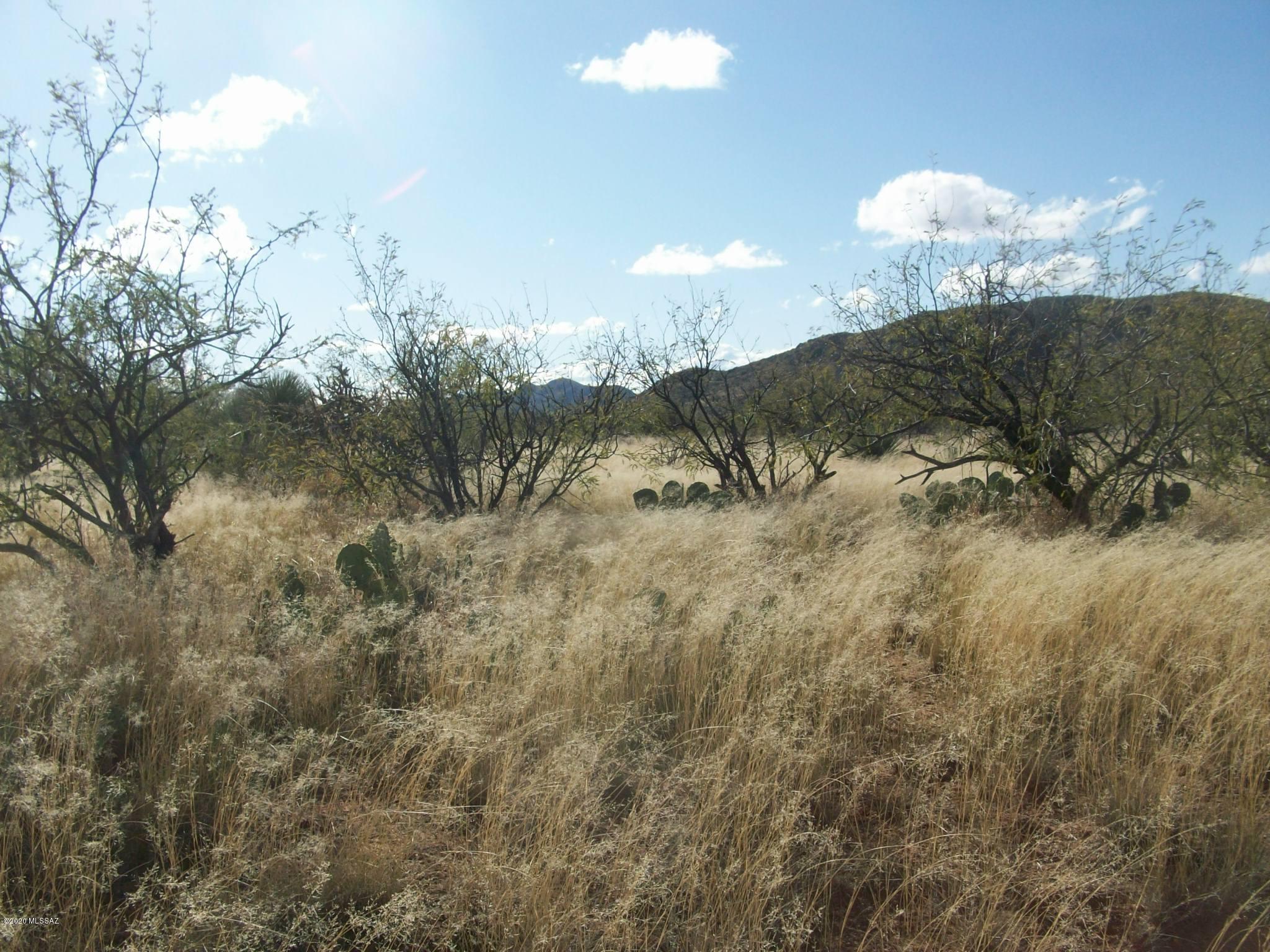 18005 South O J Ranch Road Tucson, AZ 85736 - Photo 2 of 3