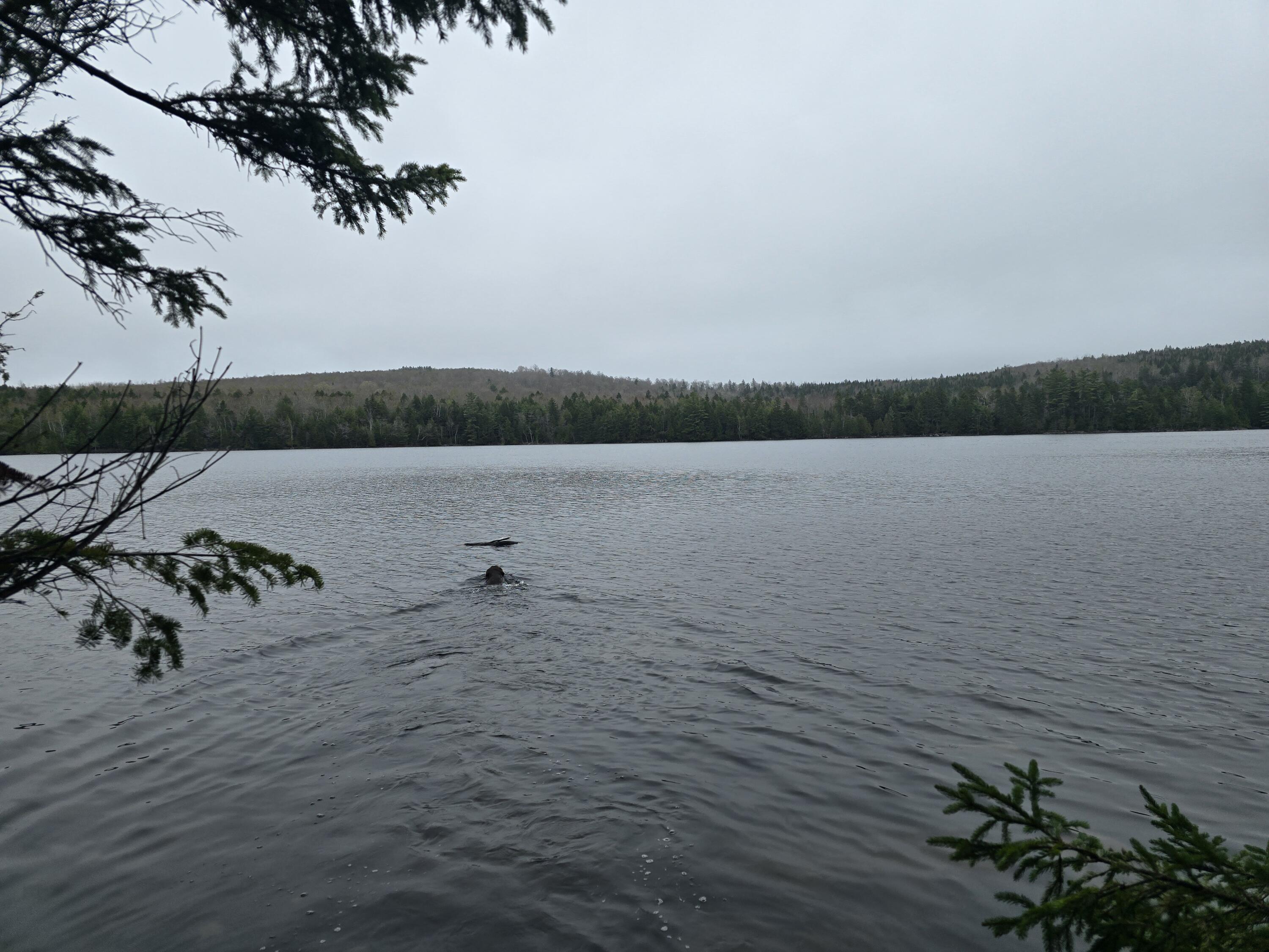 Lot A Lot A Deer Point Road Robbinston, ME 04671 - Photo 14 of 18 20250507_132712