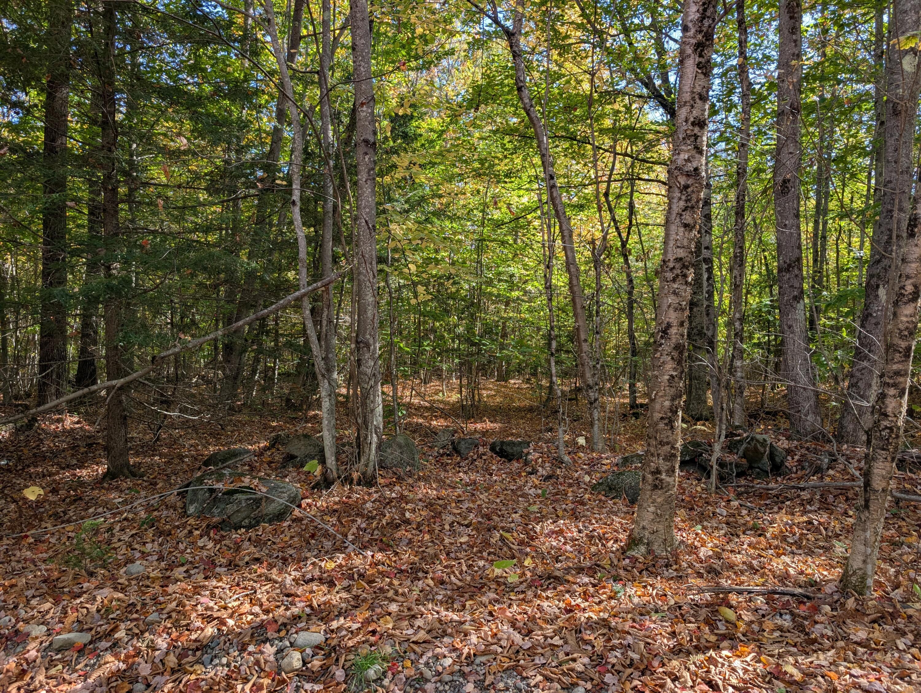 0 Gibbs Mill Road Livermore, ME 04253 - Photo 12 of 38 PXL_20251010_165210928