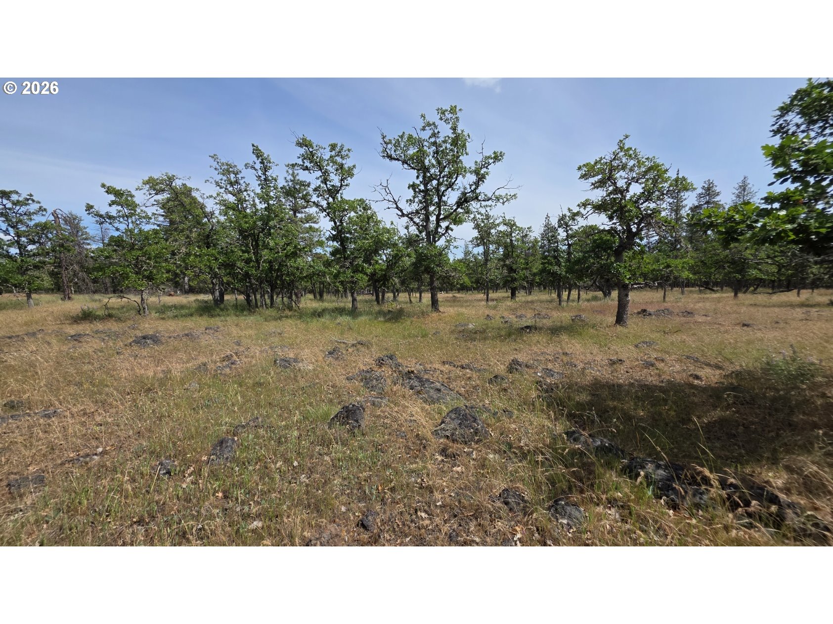 119 Lot Goldendale, WA 98620 - Photo 25 of 29 a open area with trees in the background