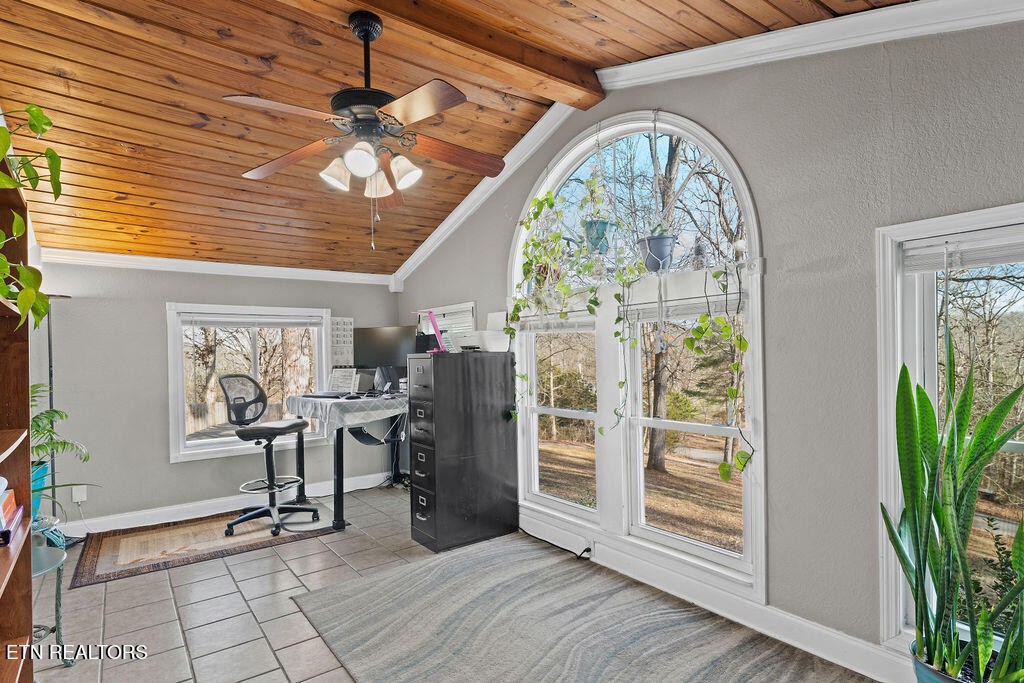 954 Buck Creek Road Kingston, TN 37763 - Photo 13 of 41 Gallery Image 13