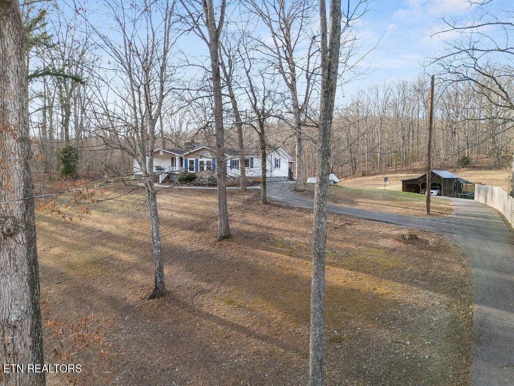 954 Buck Creek Road Kingston, TN 37763 - Photo 4 of 41 Gallery Image 4