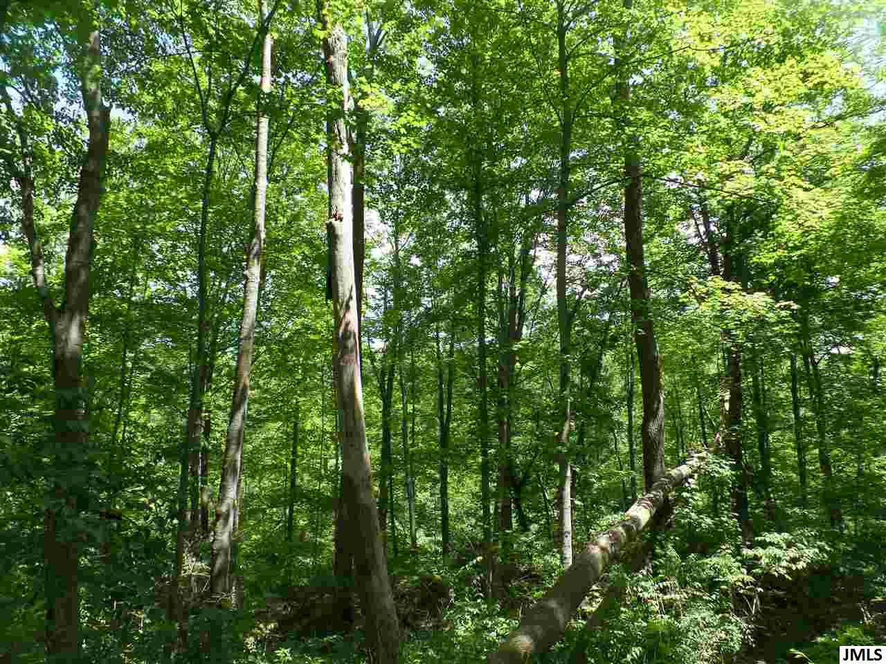 10541 Wesch Road, Unit 0JEFFERSON Brooklyn, MI 49230 - Photo 3 of 8 Photo 3