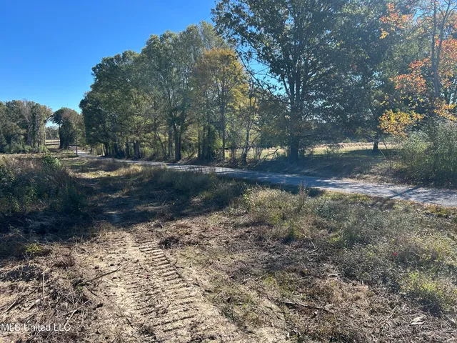 $58,450 | Warren Cook Road, Mendenhall, MS 39114