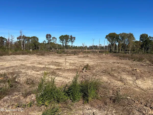 $58,450 | Warren Cook Road, Mendenhall, MS 39114