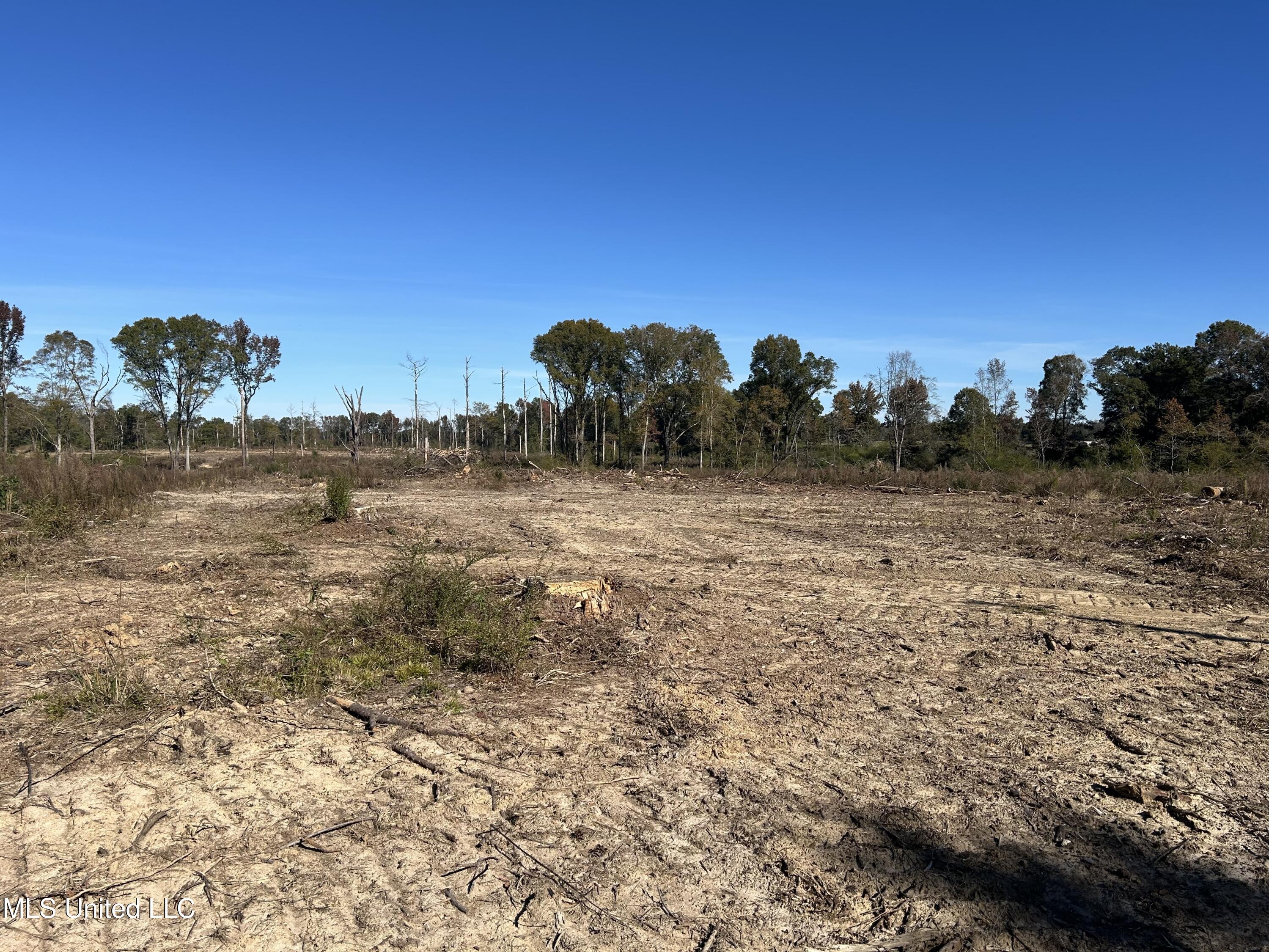 Warren Cook Road Mendenhall, MS 39114 - Photo 4 of 7 Sim-Cook-7-Lot2b