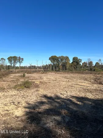 $58,450 | Warren Cook Road, Mendenhall, MS 39114