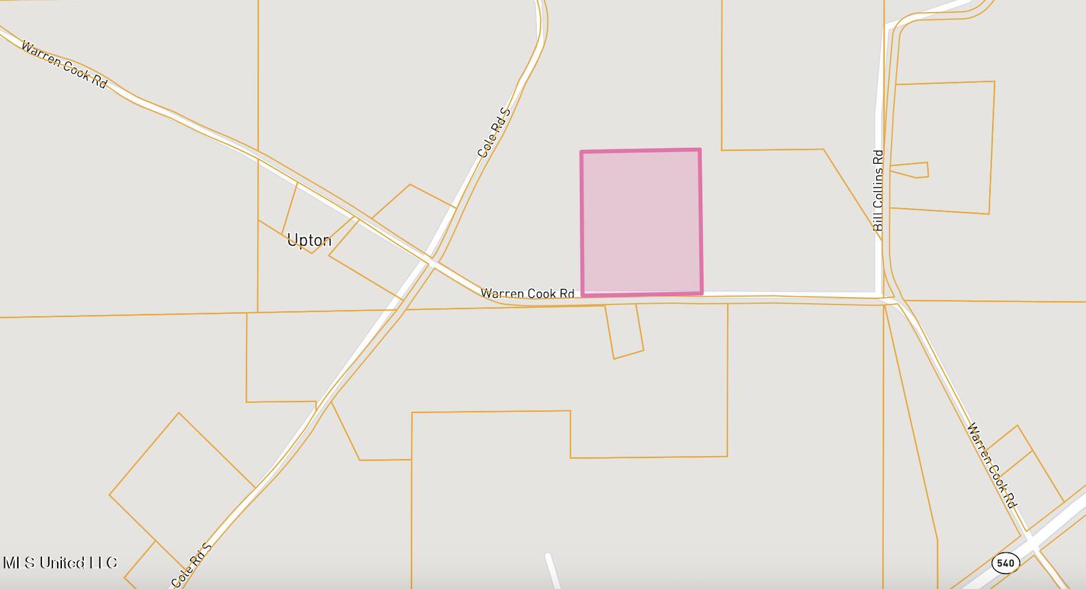 Warren Cook Road Mendenhall, MS 39114 - Photo 6 of 7 Sim-Cook-7-Street