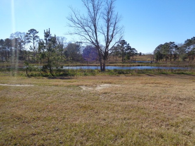 1628 Edgar Smith Road Ashford, AL 36312 - Photo 1 of 1