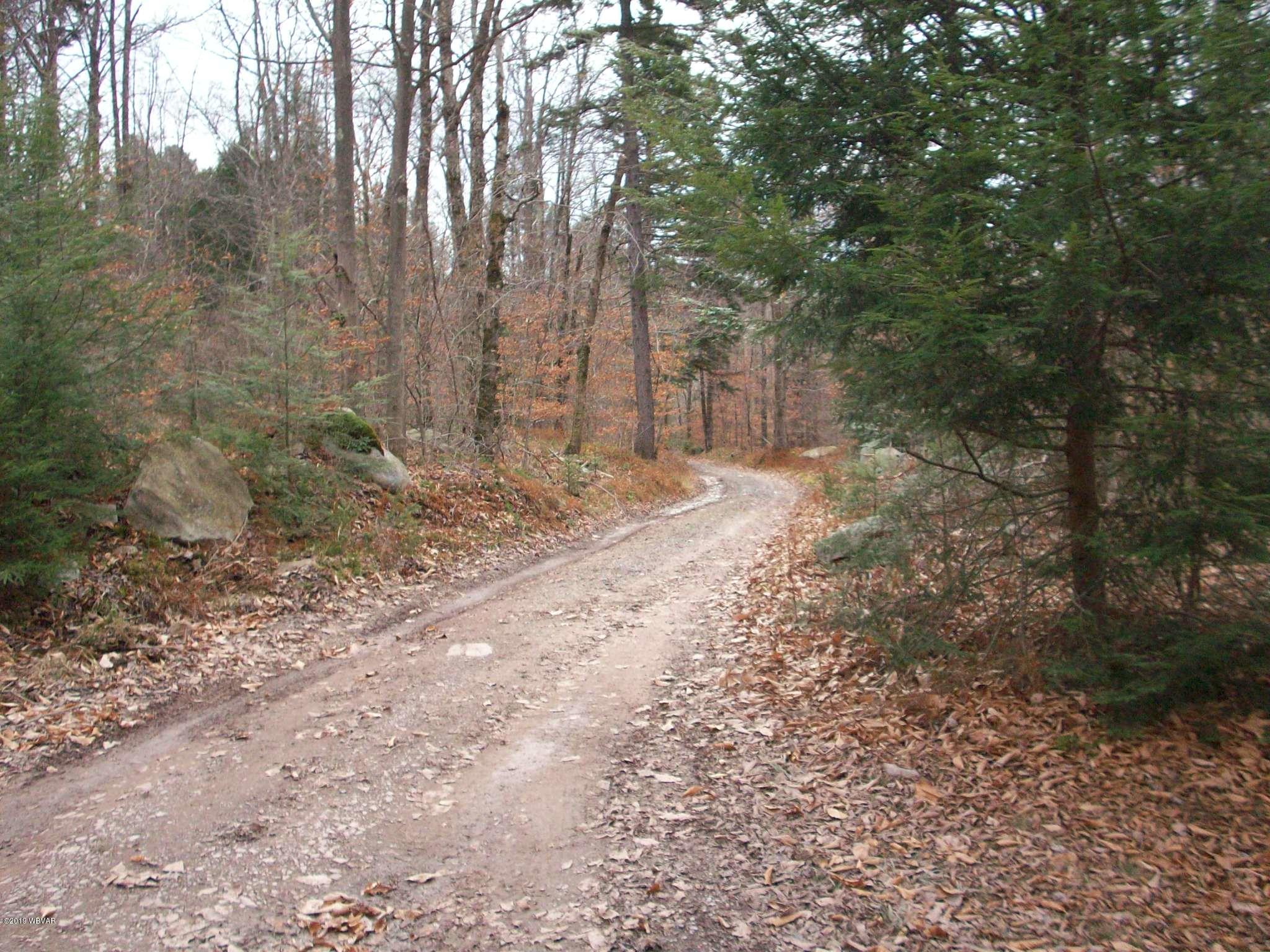 Coal Mine Road Dushore, PA 18614 - Photo 19 of 20 Gallery Image 19
