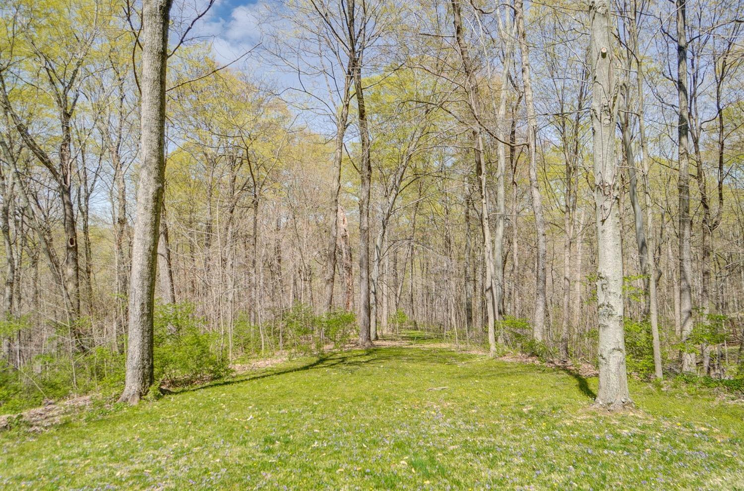 5566 Dry Ridge Road Cincinnati, OH 45252 - Photo 32 of 37 Gallery Image 32