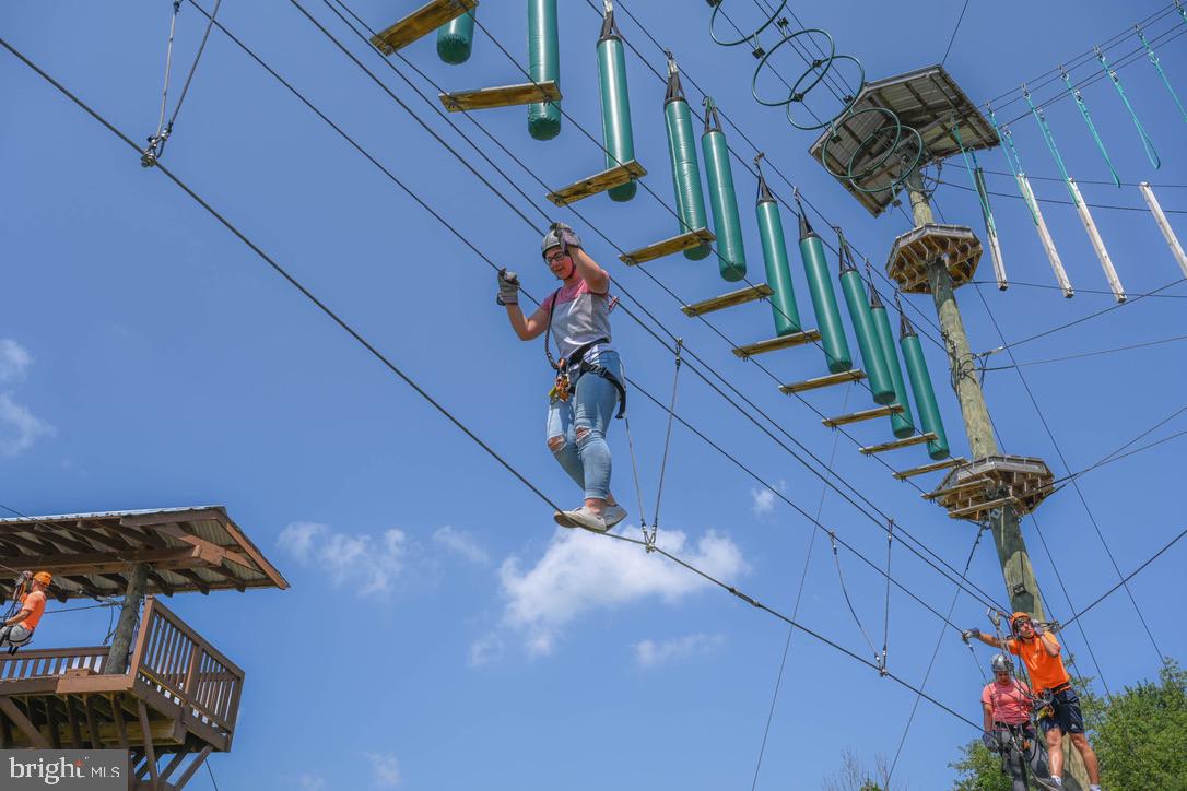 56 Bee Tree Lane Oakland, MD 21550 - Photo 119 of 139 Hanging out at Monkey Business Adventure Park.