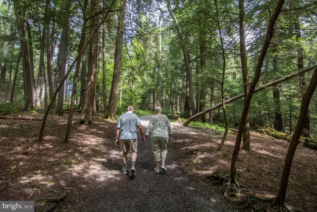 $2,845,000 | 56 Bee Tree Lane, Oakland, MD 21550