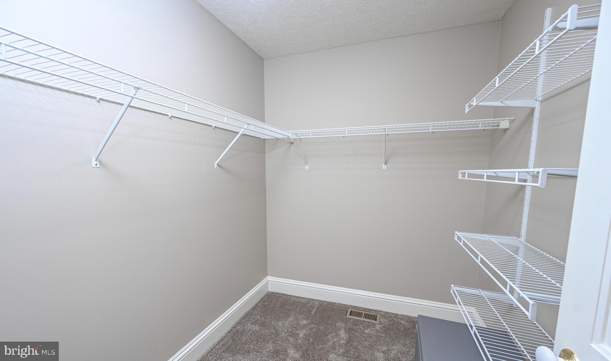 56 Bee Tree Lane Oakland, MD 21550 - Photo 41 of 139 Main level primary walk in closet.