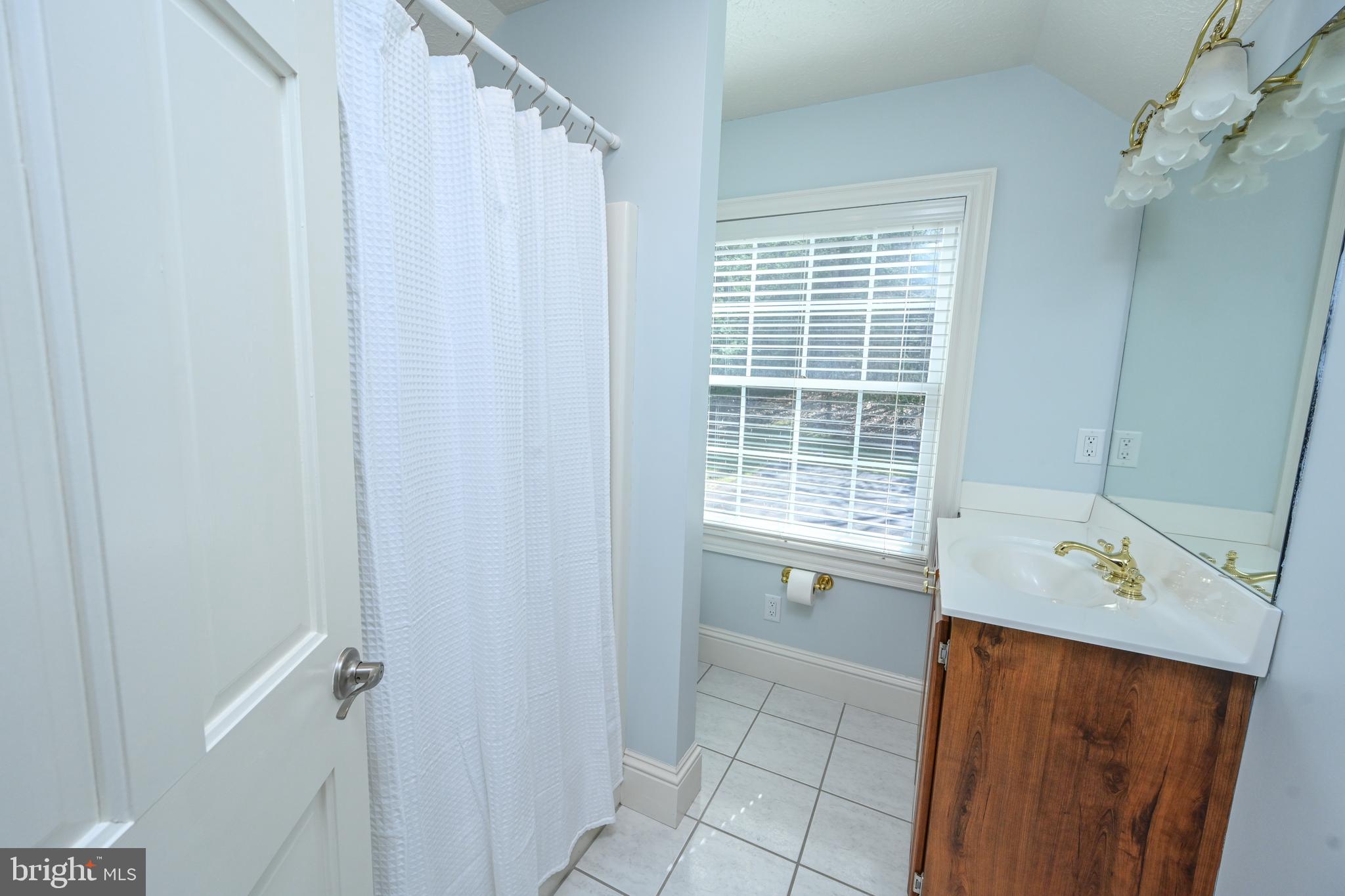 56 Bee Tree Lane Oakland, MD 21550 - Photo 50 of 139 Tub shower in this bright and cherry bath.
