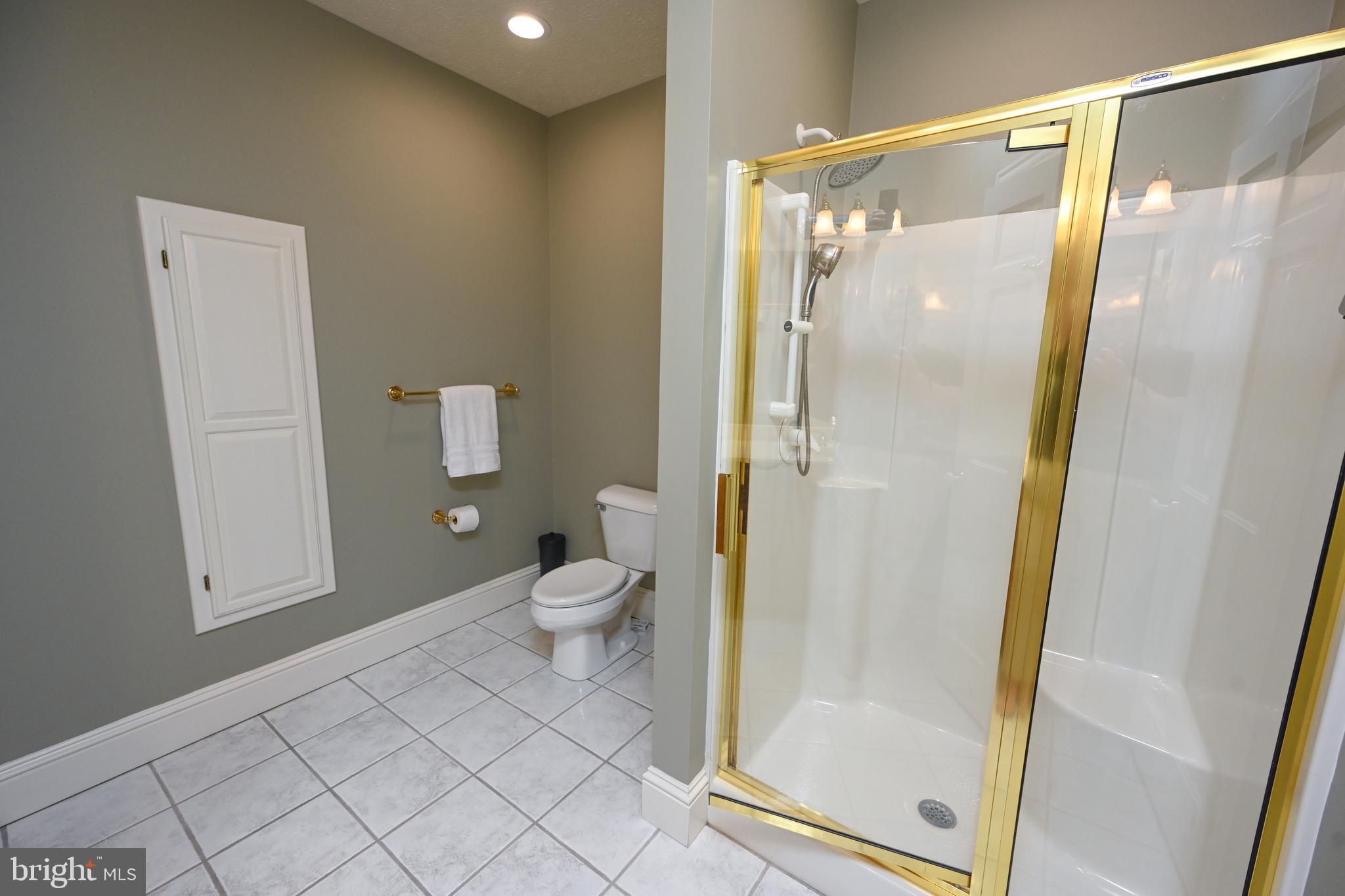 56 Bee Tree Lane Oakland, MD 21550 - Photo 94 of 139 Spacious and private lower level primary bath.