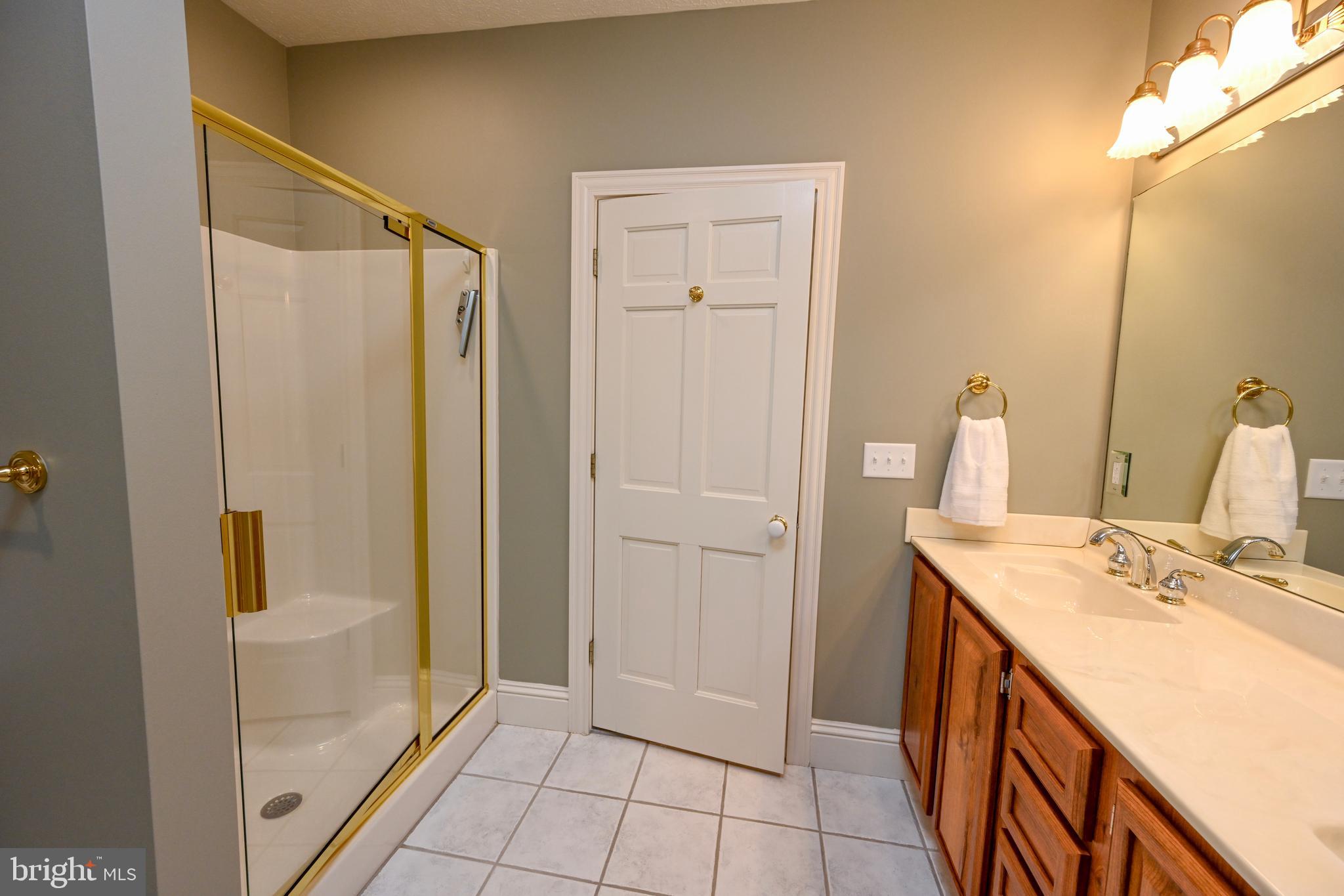 56 Bee Tree Lane Oakland, MD 21550 - Photo 95 of 139 Spacious and private lower level primary bath.