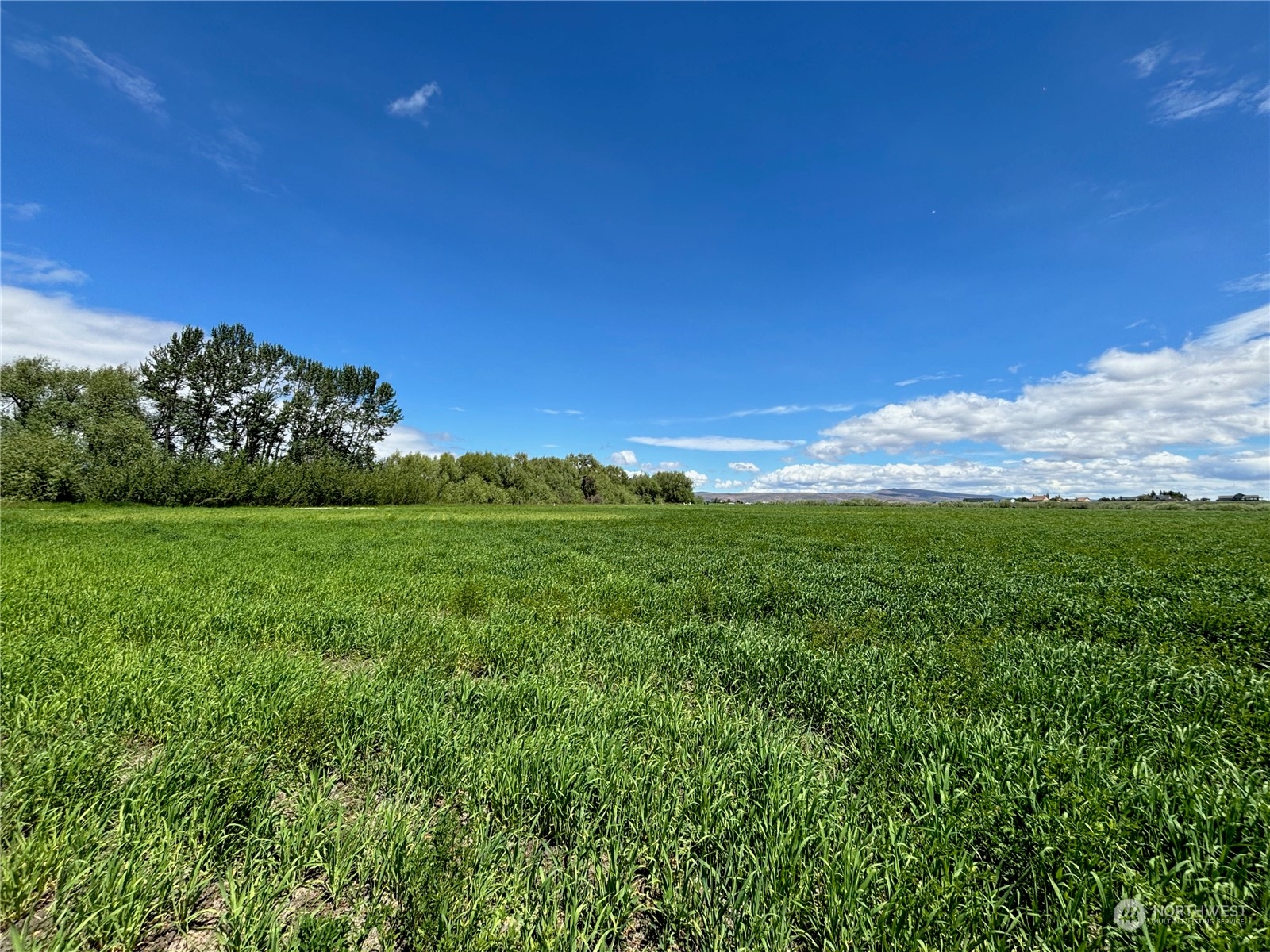 7 A Watson Road Ellensburg, WA 98926 - Photo 11 of 22 Gallery Image 11