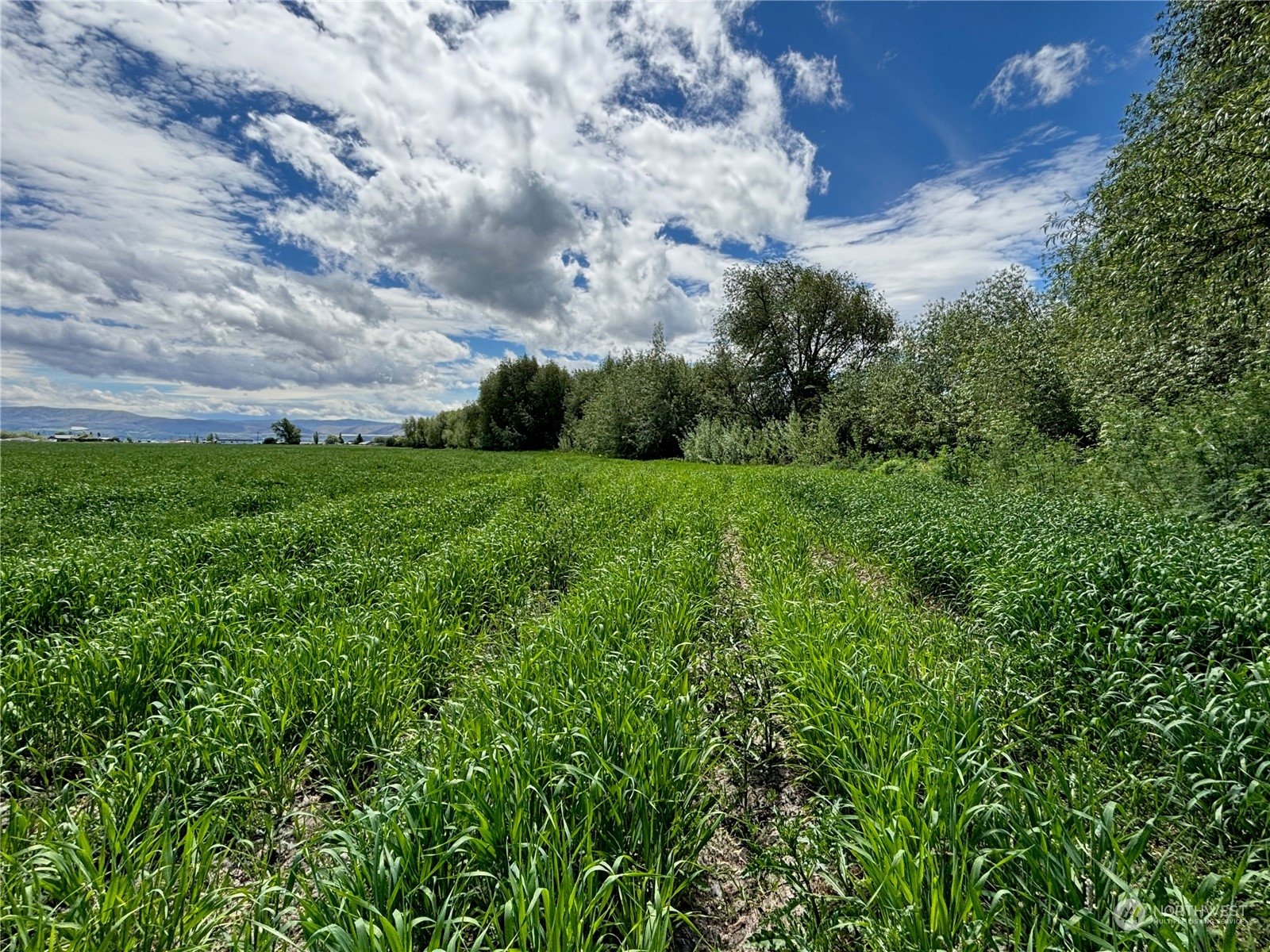 7 A Watson Road Ellensburg, WA 98926 - Photo 14 of 22 Gallery Image 14