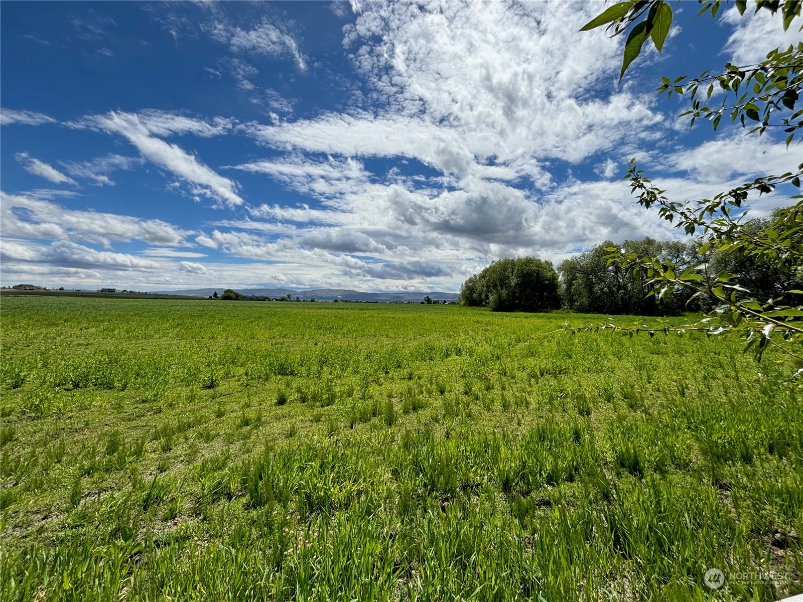 7 A Watson Road Ellensburg, WA 98926 - Photo 16 of 22 Gallery Image 16