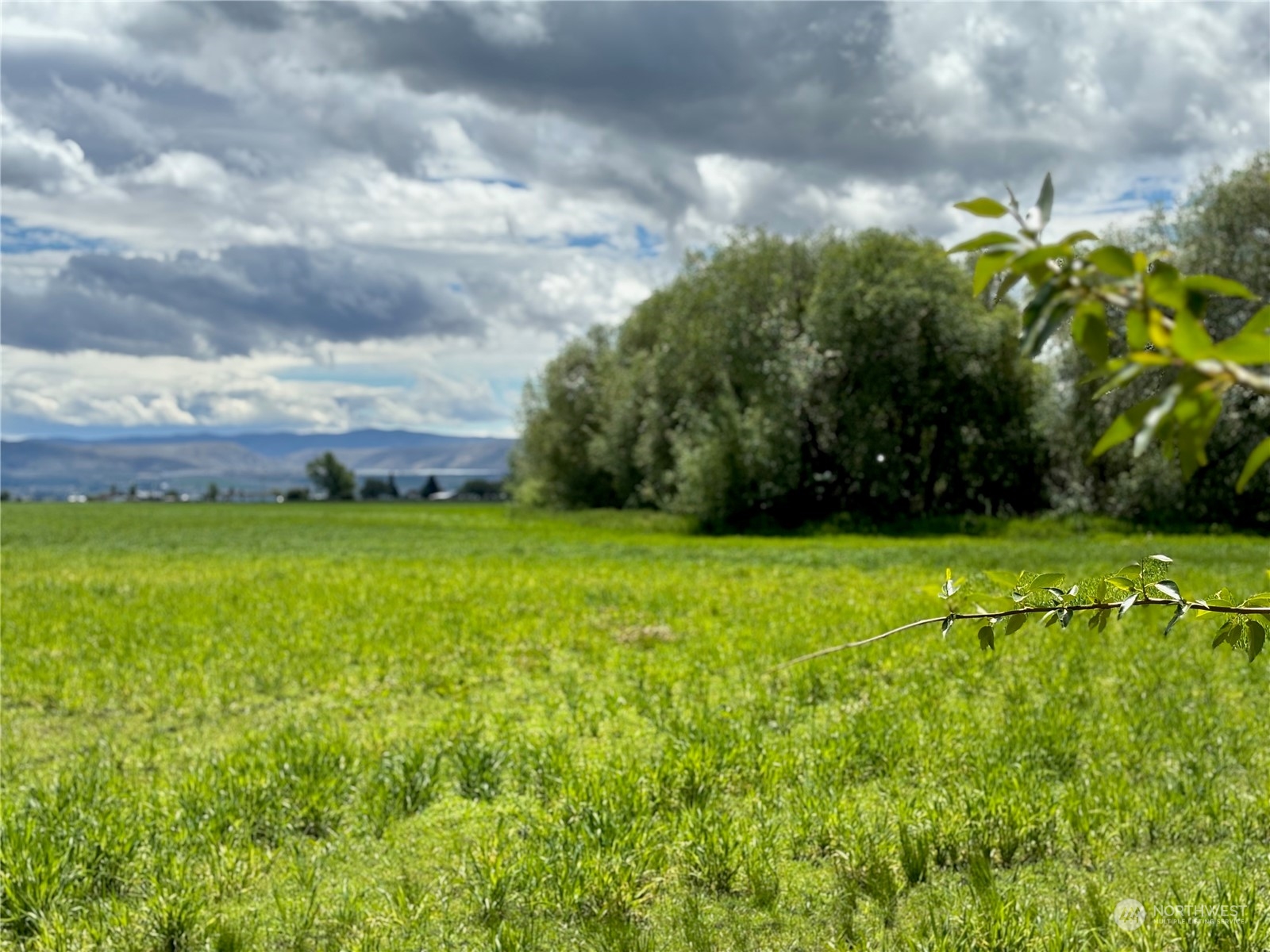 7 A Watson Road Ellensburg, WA 98926 - Photo 17 of 22 Gallery Image 17