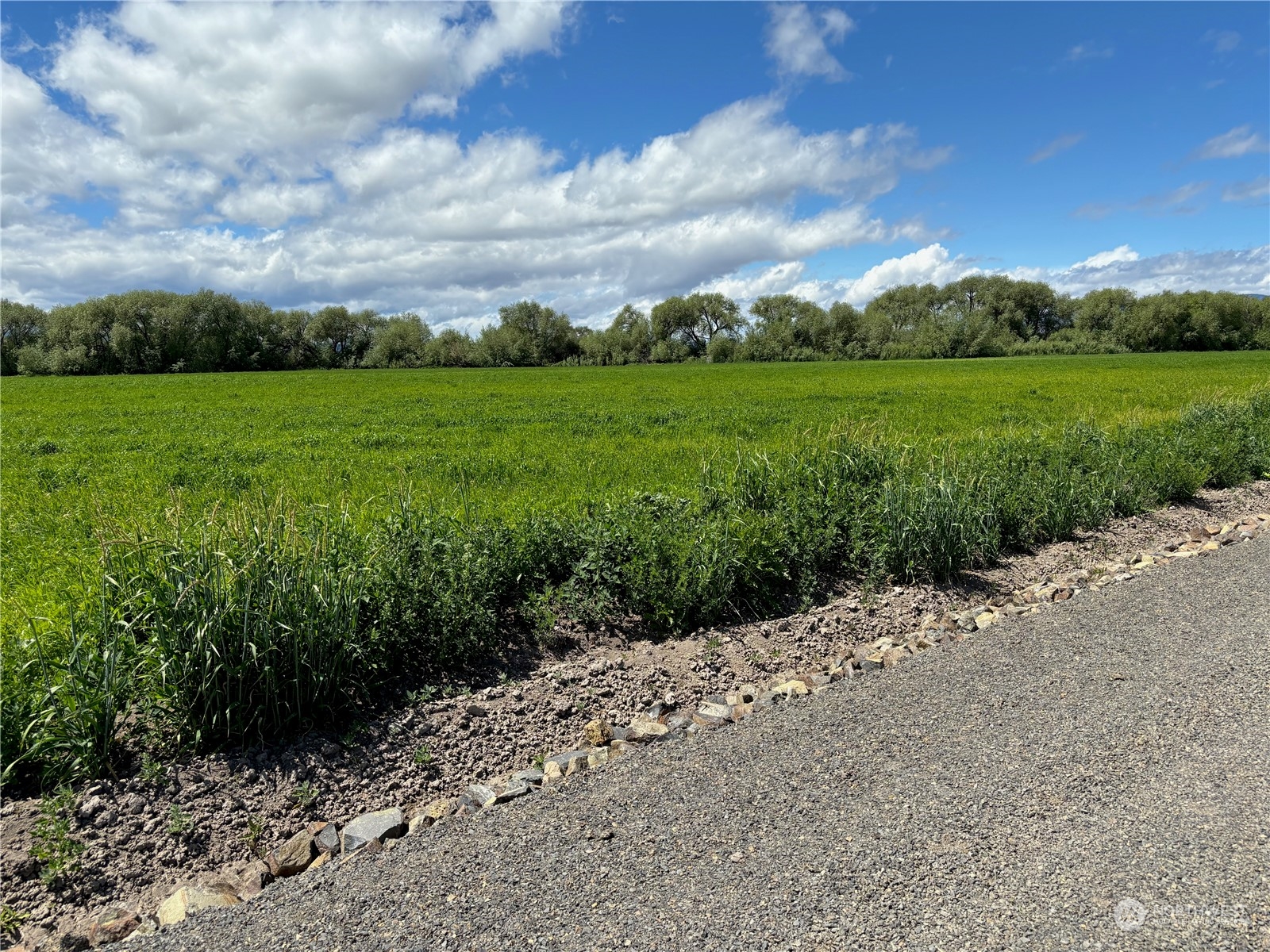 7 A Watson Road Ellensburg, WA 98926 - Photo 20 of 22 Gallery Image 20
