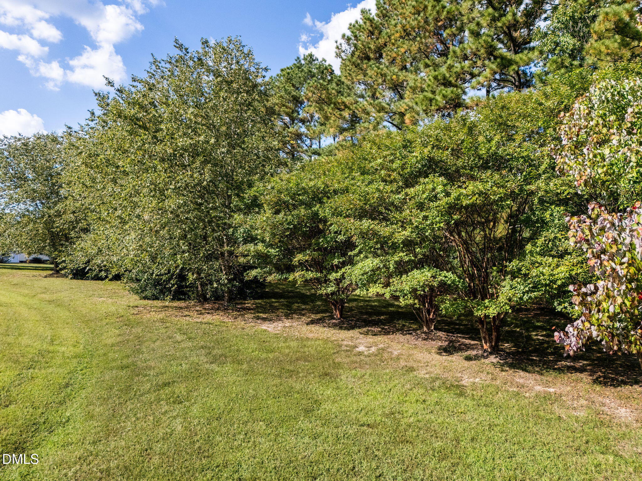3538 Saddle Ridge Road Stem, NC 27581 - Photo 45 of 50 10-web-or-mls-DJI_20250919160718_0081_D