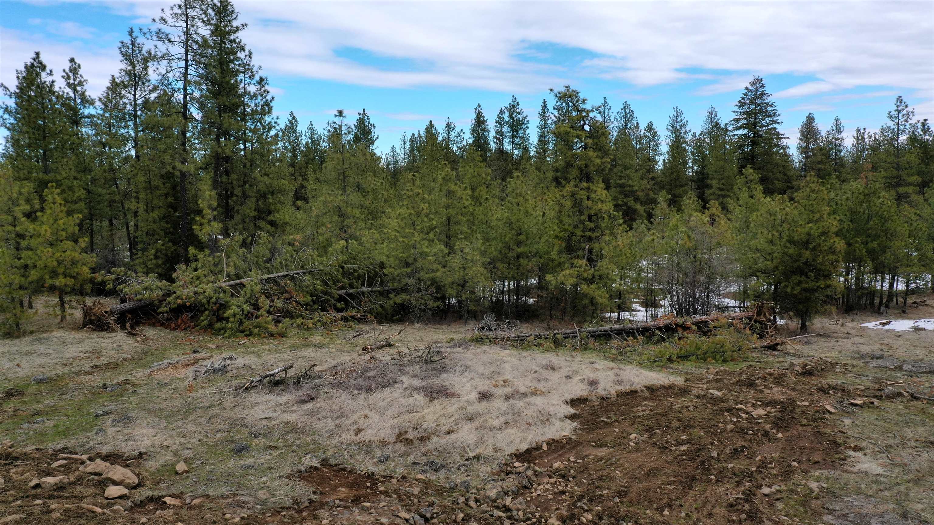 18324 West Burnett Road Nine Mile Falls, WA 99026 - Photo 22 of 34