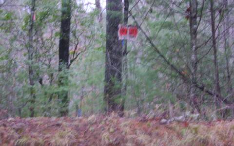 6 Hanging Dog Road Murphy, NC 28906 - Photo 1 of 1 Main View