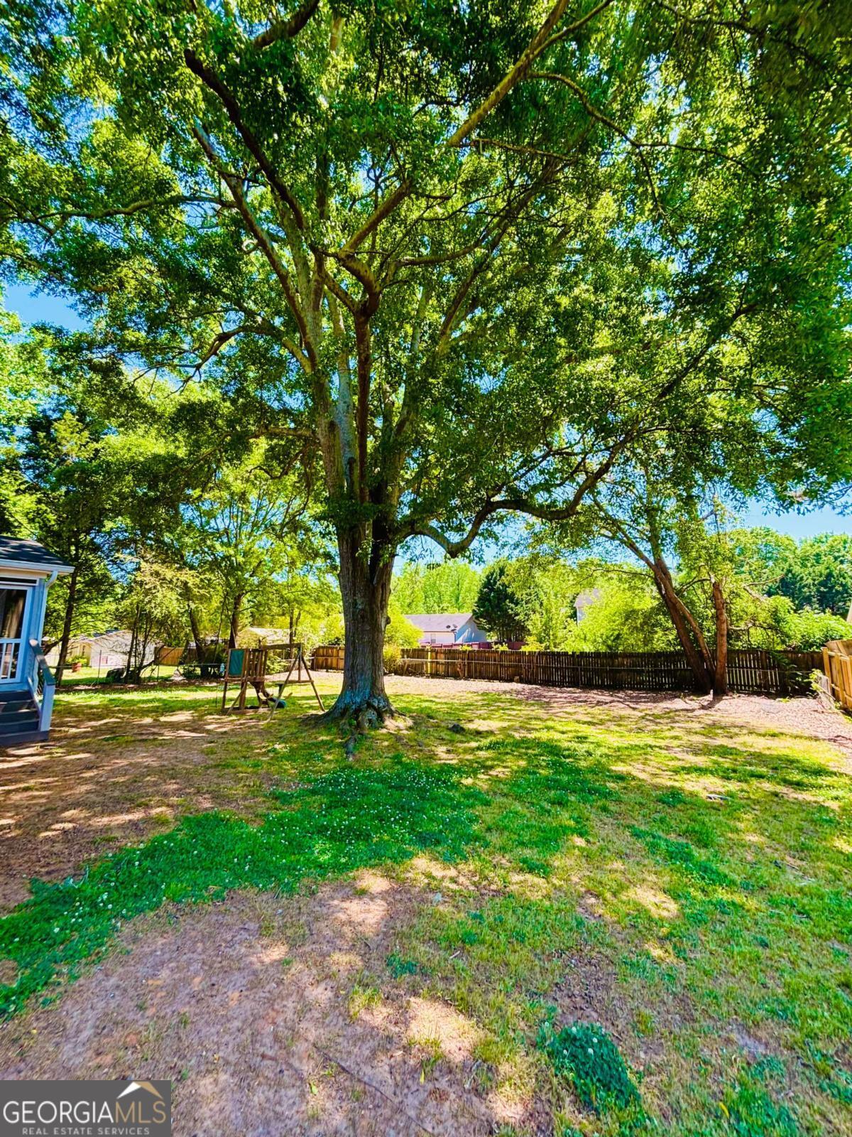 445 Vincent Drive Athens, GA 30607 - Photo 21 of 21 a view of a yard with plants and trees