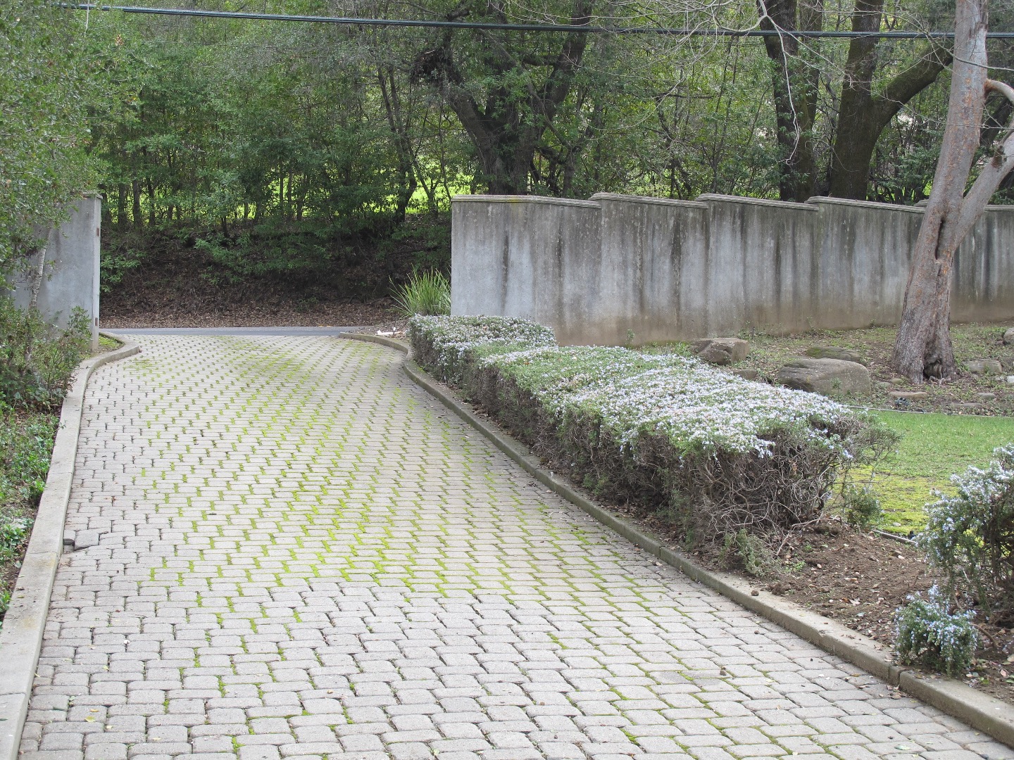 13681 Pierce Road Saratoga, CA 95070 - Photo 15 of 15