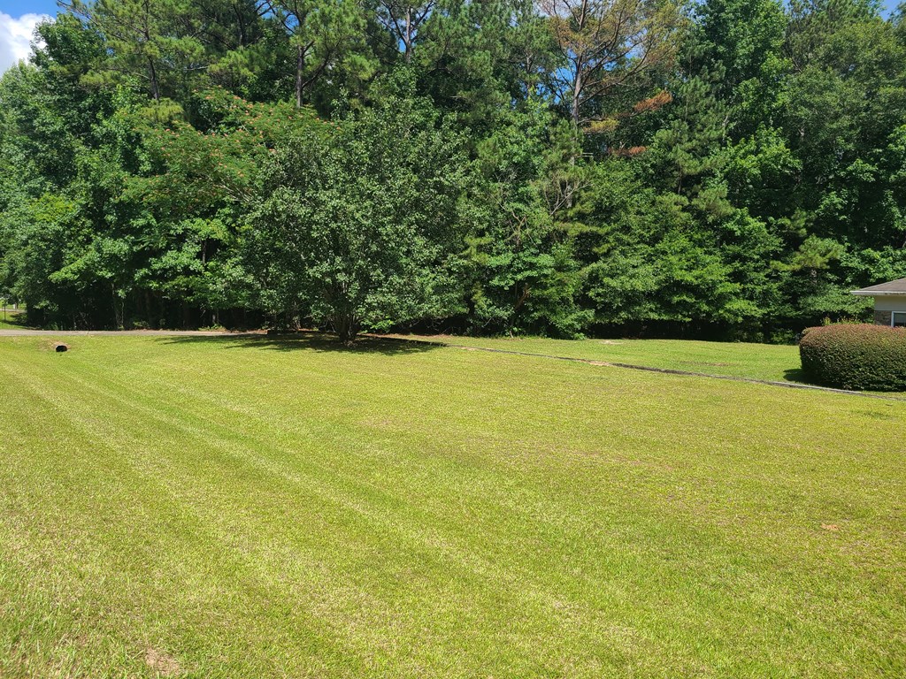 1233 Mayo Road Ellerslie, GA 31807 - Photo 35 of 45 Gallery Image 35