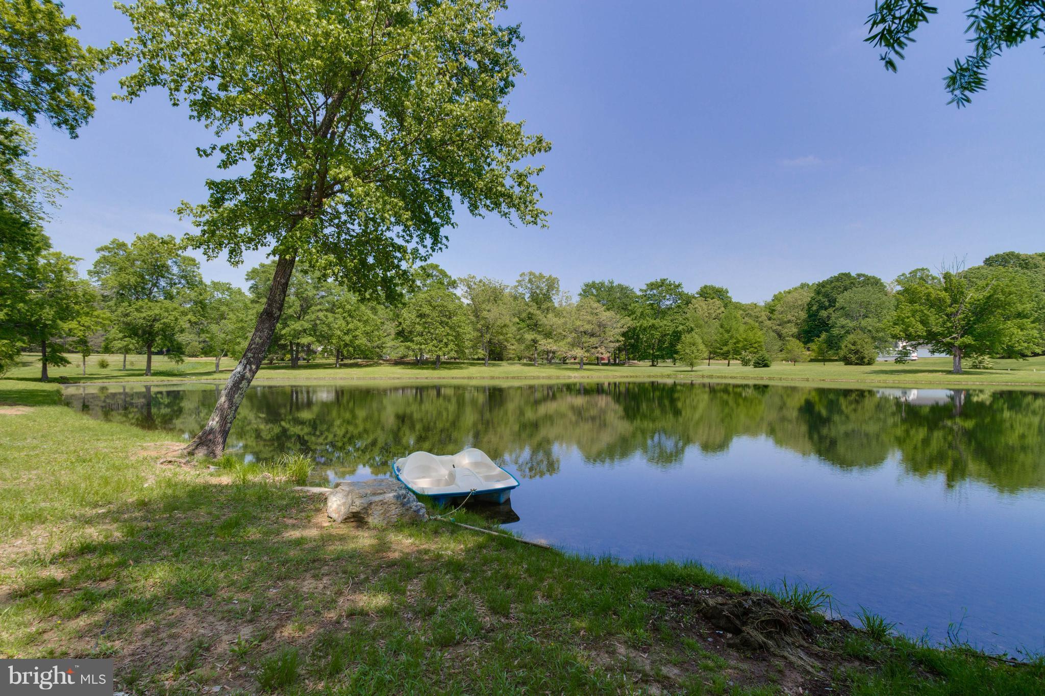 4109 Goldmine Road Goldvein, VA 22720 - Photo 3 of 30 3 acres pond with bass/catfish