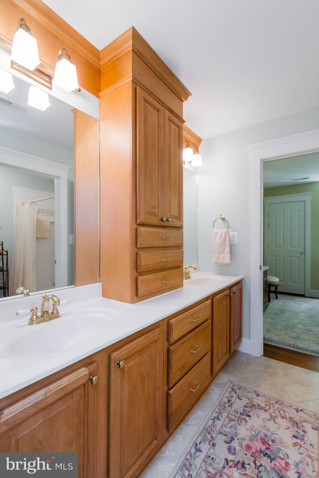 4109 Goldmine Road Goldvein, VA 22720 - Photo 27 of 30 Jack and Jill bathroom