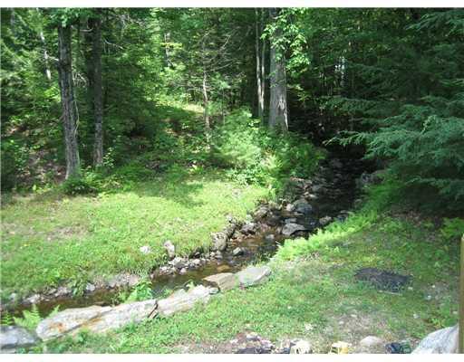 316 Libby Road Newfield, ME 04095 - Photo 3 of 7 Yard/Garden.