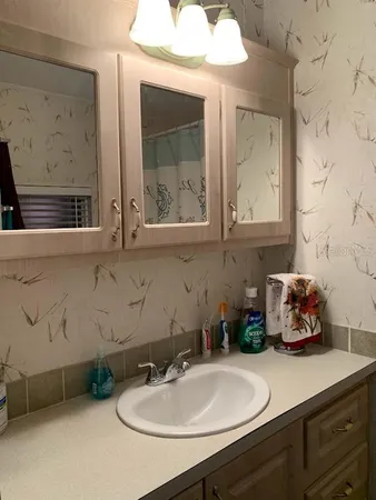 a bathroom with a sink and a mirror