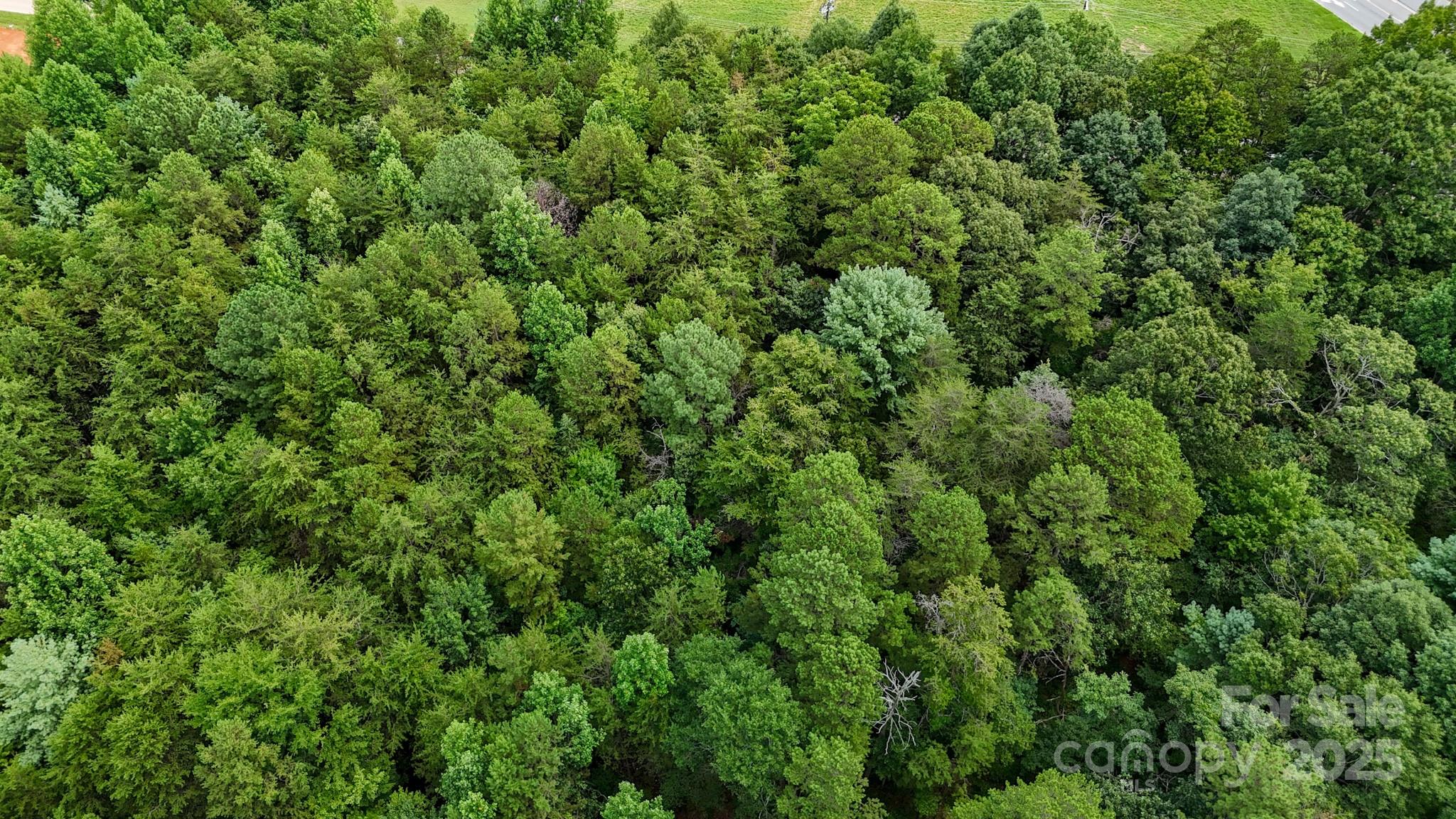 0 Kool Park Road Northeast Hickory, NC 28601 - Photo 12 of 18