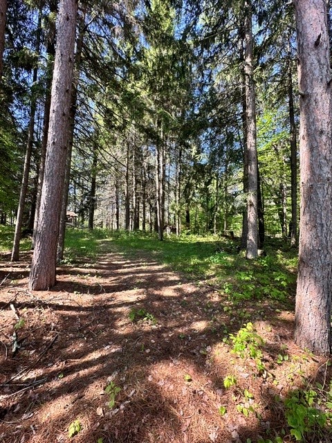 W8303 Christensen Road Trego, WI 54888 - Photo 3 of 12
