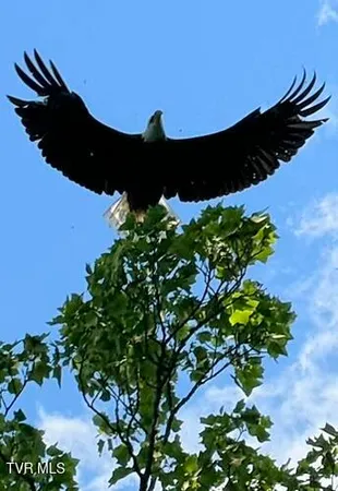 $1,100,000 | 2005 River Mist Circle, New Market, TN 37820