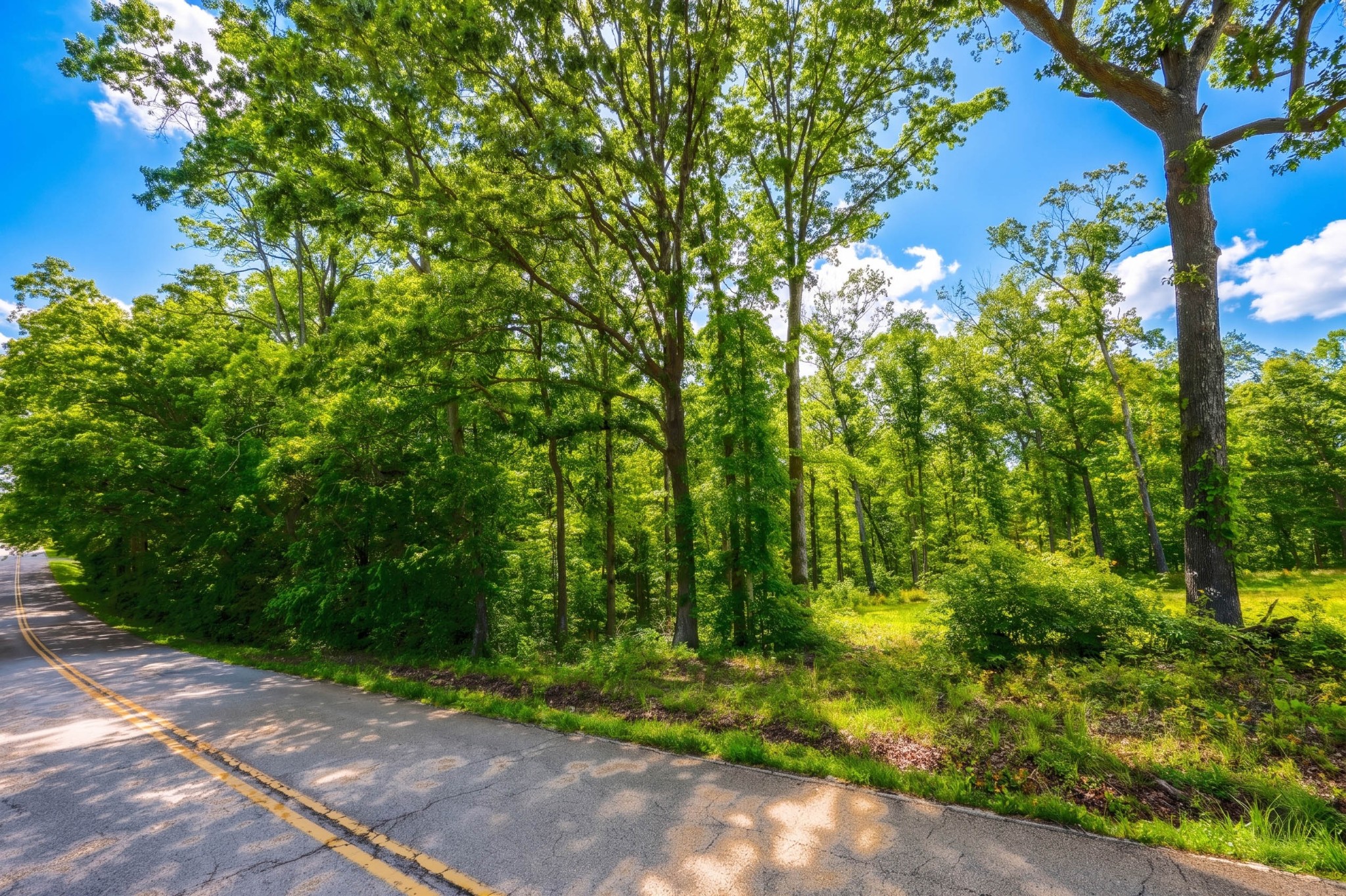 0 Akin Road Cunningham, TN 37052 - Photo 14 of 16 Gallery Image 14