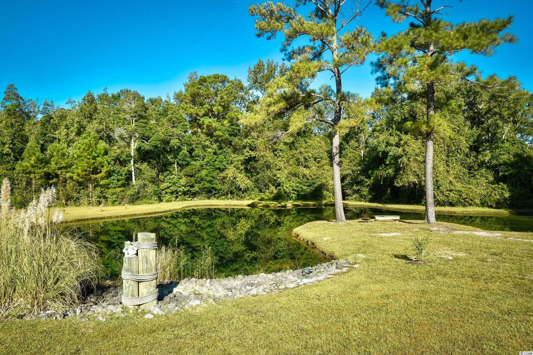 2526 Dows Road Loris, SC 29569 - Photo 29 of 40 Gallery Image 29