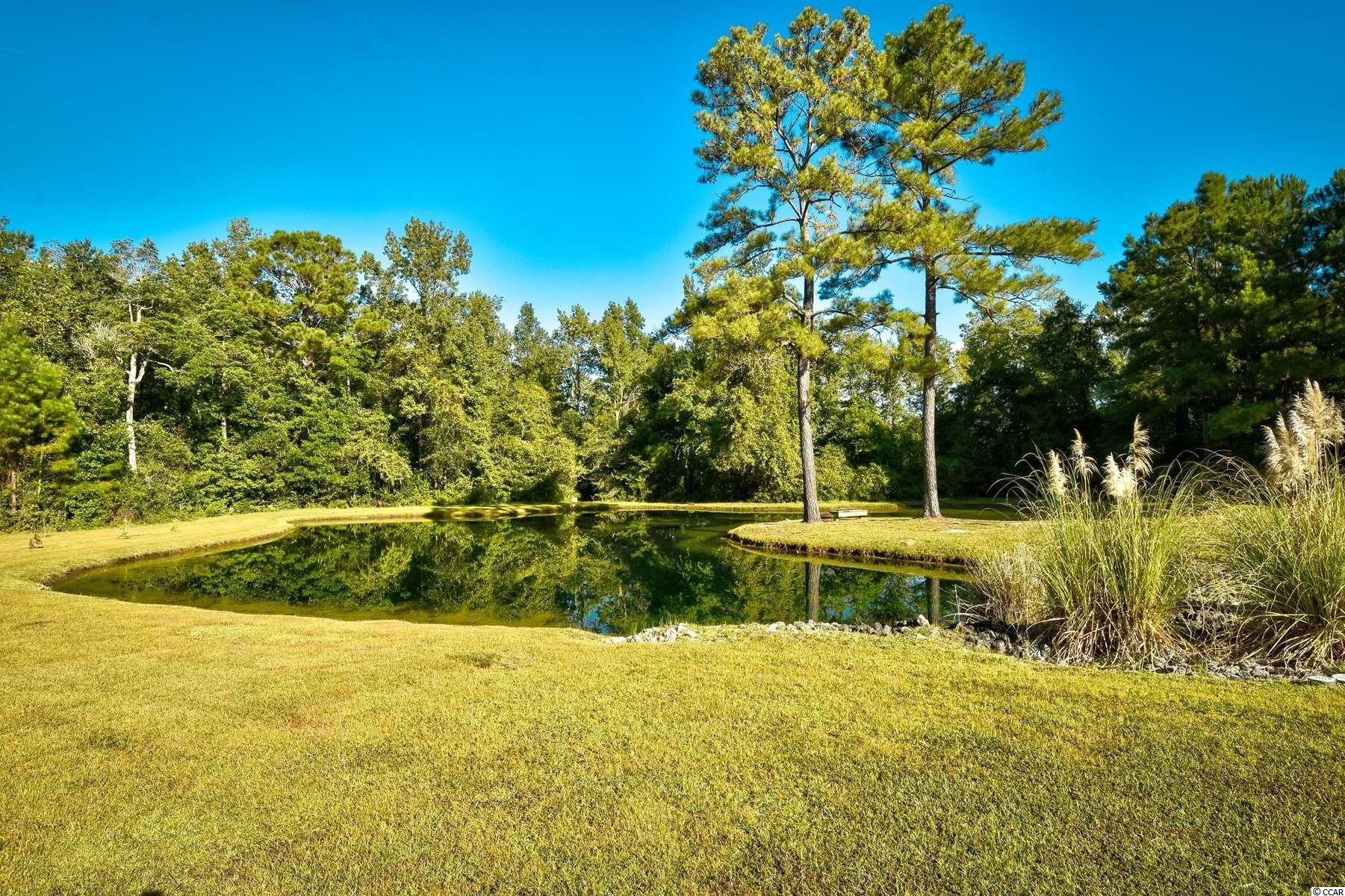 2526 Dows Road Loris, SC 29569 - Photo 30 of 40 Gallery Image 30