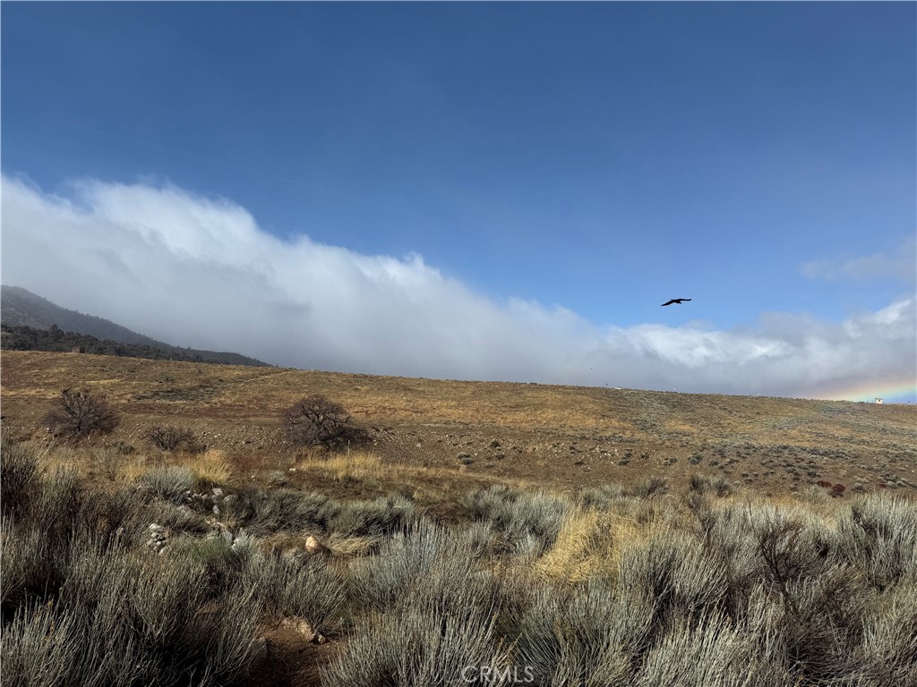 0 Summers Drive Tehachapi, CA 93561 - Photo 1 of 20