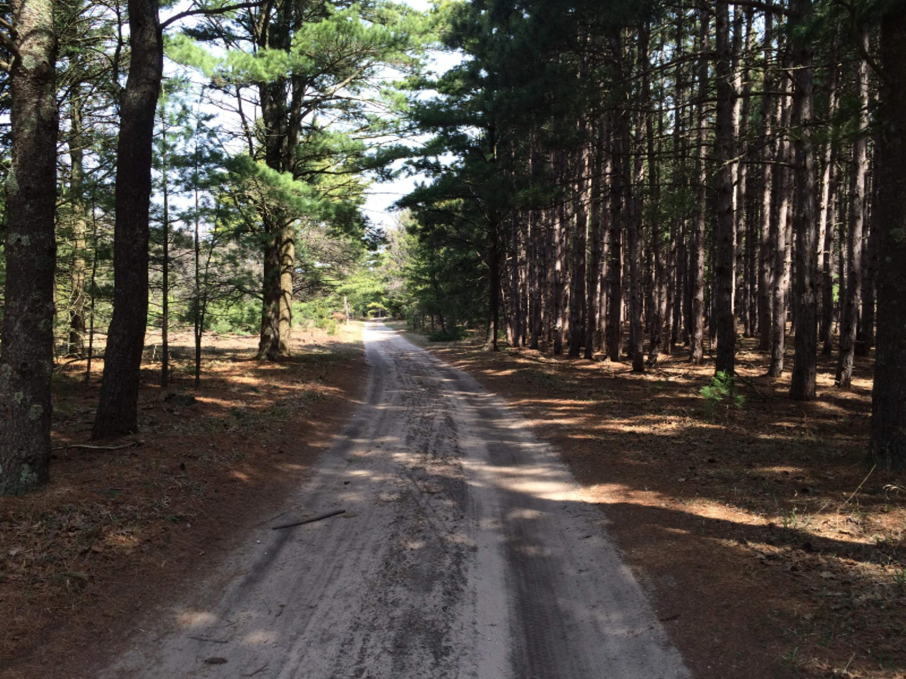 28.6 A Red Apple Road Manistee, MI 49660 - Photo 4 of 32 Drive entering property
