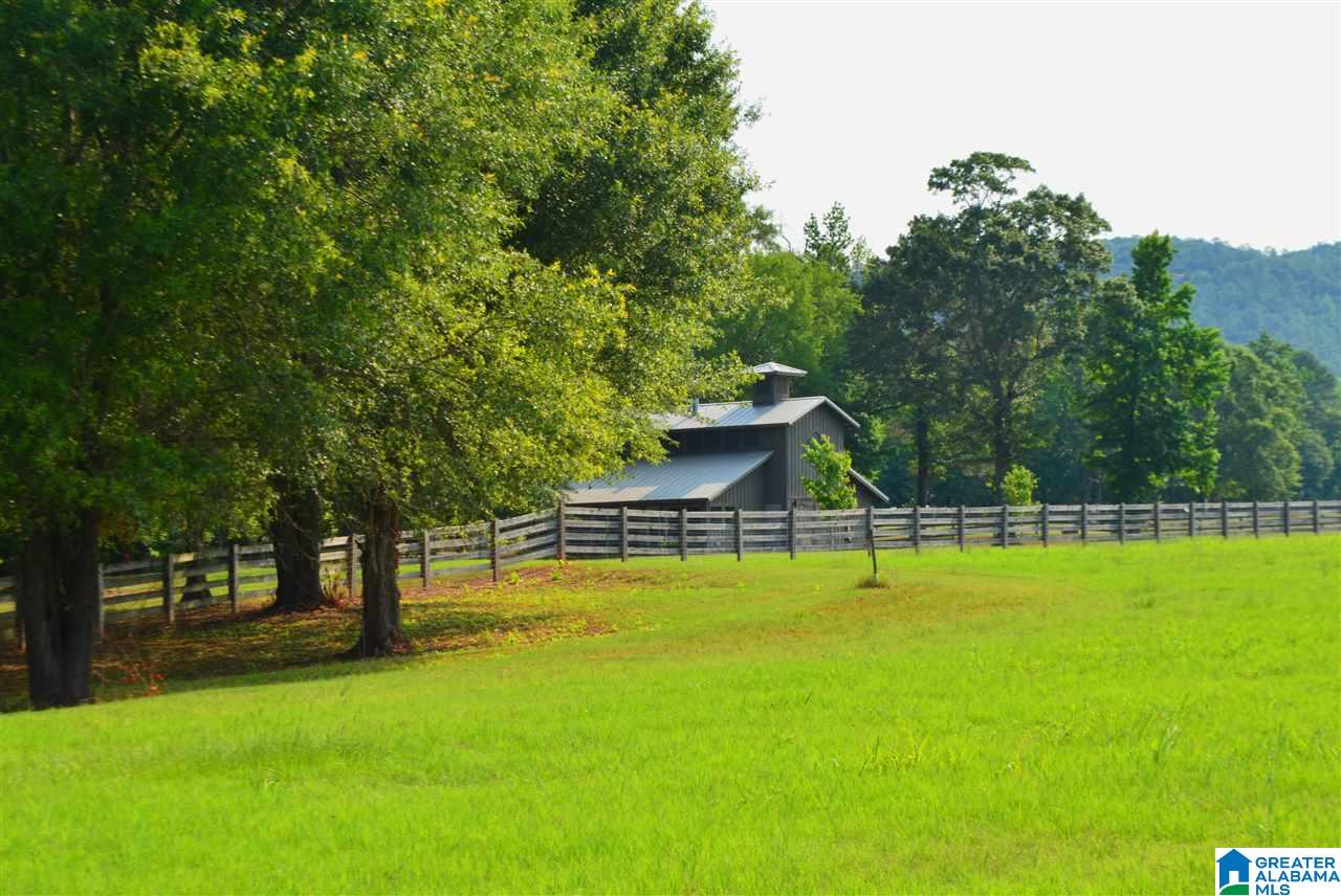 4683 Mcgowans Ferry Road Childersburg, AL 35044 - Photo 9 of 46