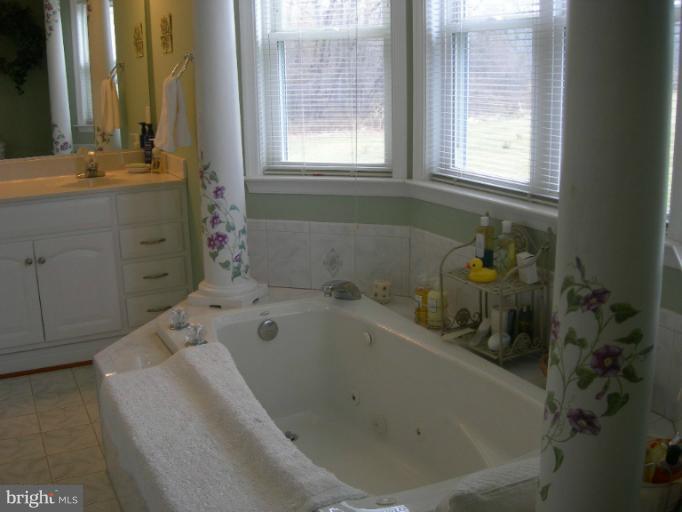4640 Bucks School House Road Rosedale, MD 21237 - Photo 16 of 29 Tub with jets