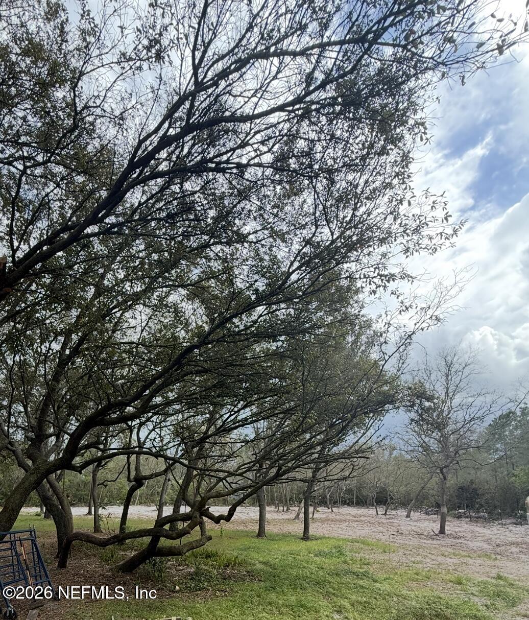 228 Browns Hammock Road Crescent City, FL 32112 - Photo 6 of 6 IMG_3101