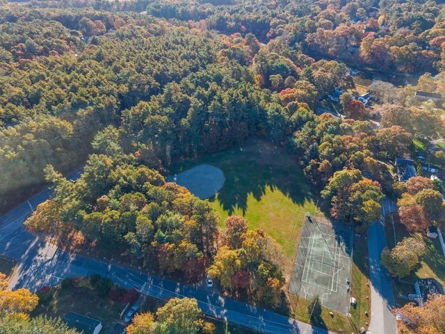 a view of a yard covered with trees